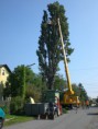 /album/baumrodung/cimg4674-jpg/